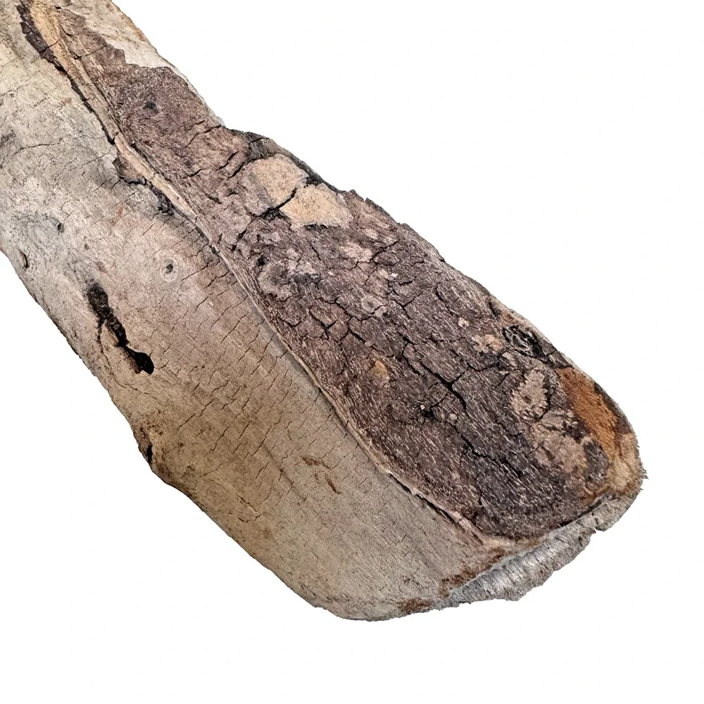 Set of 2 Cali. Coast Wavy Natural Driftwood Beach Burlwood 1.10 Lbs Terrarium